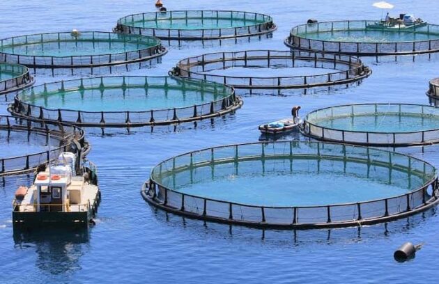 Aquaculture
